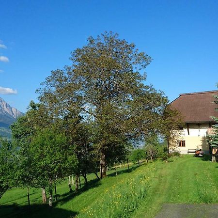 Chalets Alpin Kronhof Kotschach-Mauthen Eksteriør billede